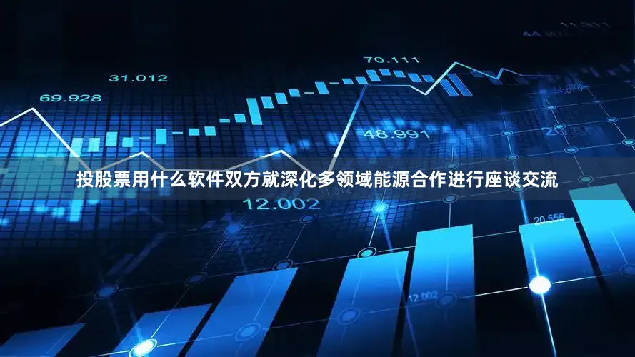 投股票用什么软件双方就深化多领域能源合作进行座谈交流