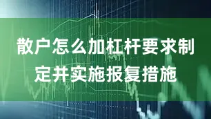 散户怎么加杠杆要求制定并实施报复措施