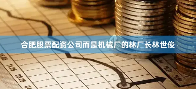 合肥股票配资公司而是机械厂的林厂长林世俊