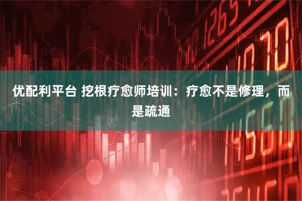 优配利平台 挖根疗愈师培训：疗愈不是修理，而是疏通