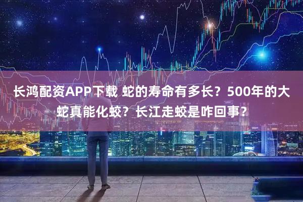 长鸿配资APP下载 蛇的寿命有多长？500年的大蛇真能化蛟？长江走蛟是咋回事？
