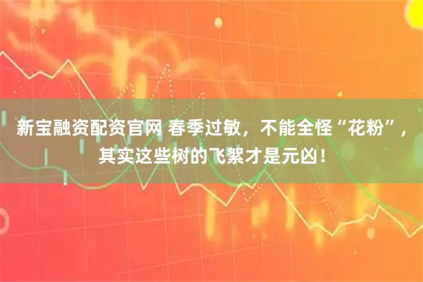 新宝融资配资官网 春季过敏，不能全怪“花粉”，其实这些树的飞絮才是元凶！