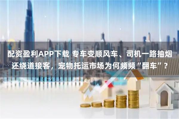配资盈利APP下载 专车变顺风车、司机一路抽烟还绕道接客，宠物托运市场为何频频“翻车”？